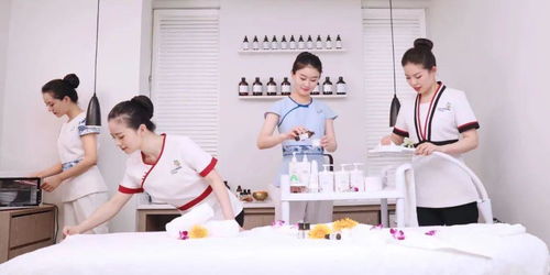 規范職業標準，助力行業提升——美容師國家職業等級認定教材技術和服務標準拍攝工作圓滿完成