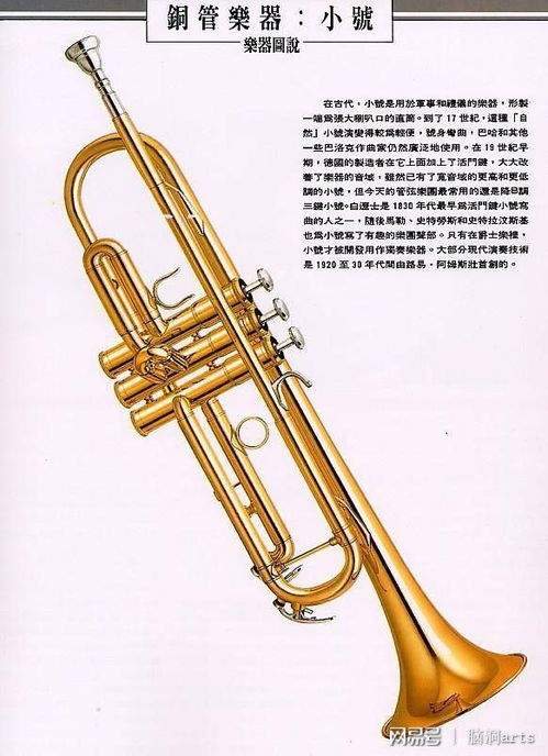 探秘最炫酷的銅管樂器 從古典到現代的魅力之聲